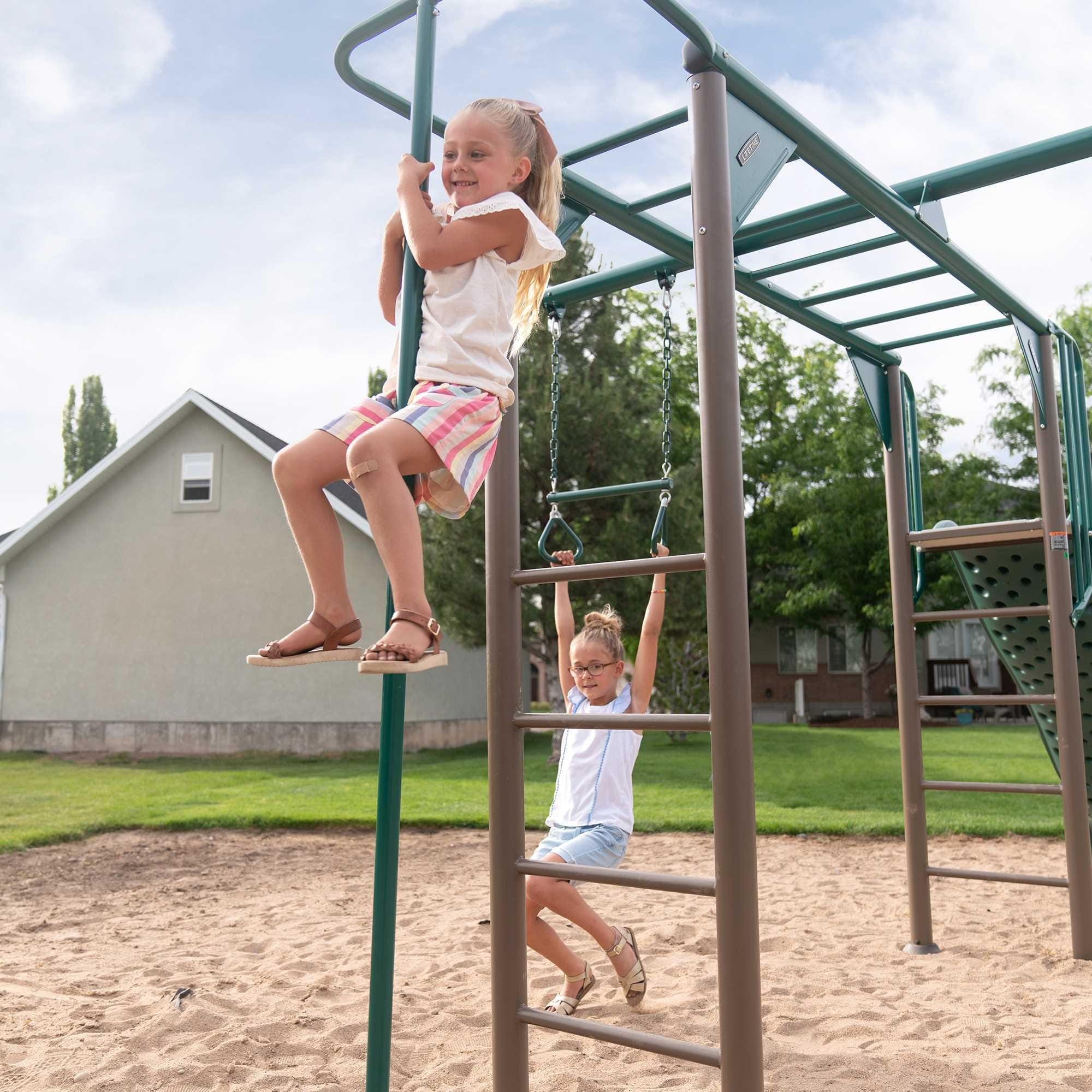 Lifetime monkey bar swing set 2025