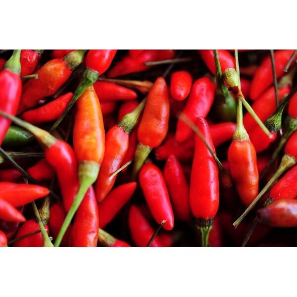 Shop Easy Art Prints Anthony Asael S Malaysian Hot Chili Ii