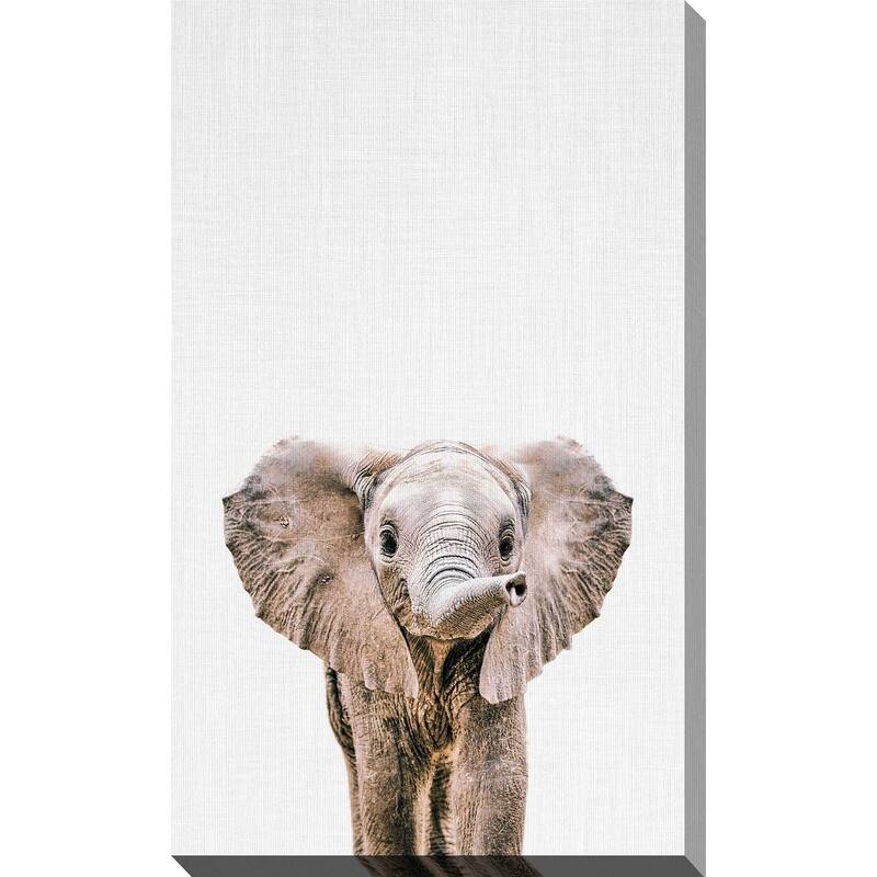 "Baby Elephant" by Tai Prints Print on Canvas