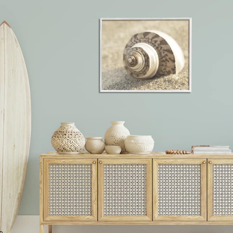 Stupell Neutral Tone Seashell Framed Giclee Art Design By Dora Rotondella