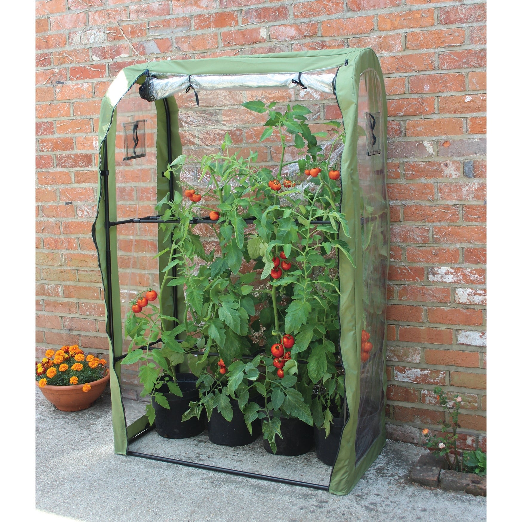 Haxnicks Tomato Crop Booster with Cover 40"W x 64"H x 20"D