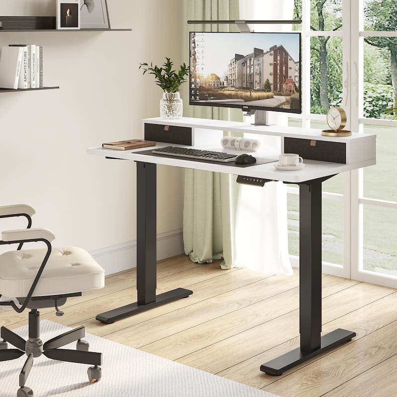FlexiSpot 48"x24"/55"x24" Ergonomic Height Adjustable Standing Desk with 2 Drawers, Monitor Stand Computer Desk