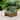 Christopher Knight Home - Thaddeus Outdoor Acacia Wood Accent Chair
