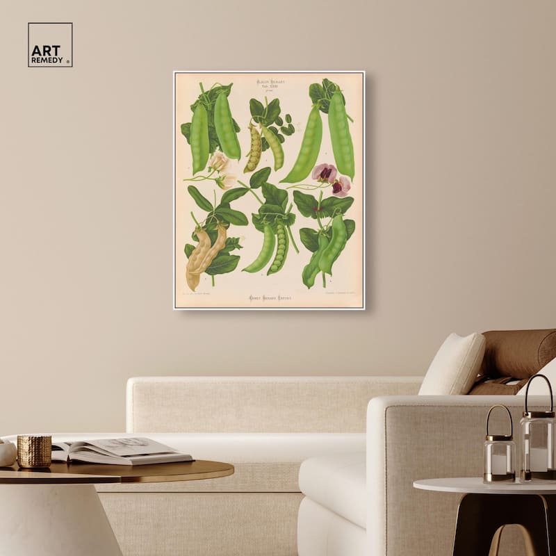 Podded Peas from Benary 1876 Canvas by Art Remedy
