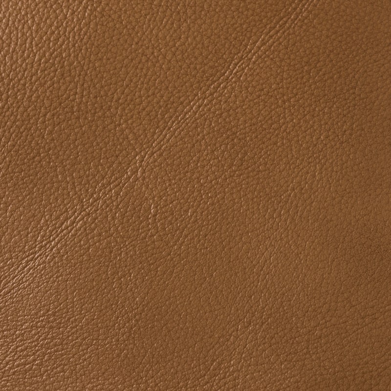 Alicia 32.68" Wide Genuine Leather Manual Recliner