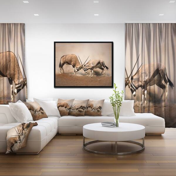 Shop Designart Gemsbok Antelopes Fighting African Framed Canvas