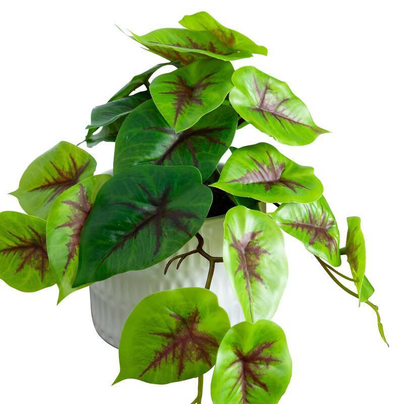Mixed Artificial Plants with Ceramic Planter - 8' - Green - Set of 3