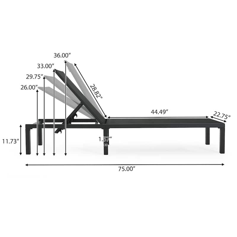 Outdoor aluminum frame mesh chaise lounge chair Set of 2