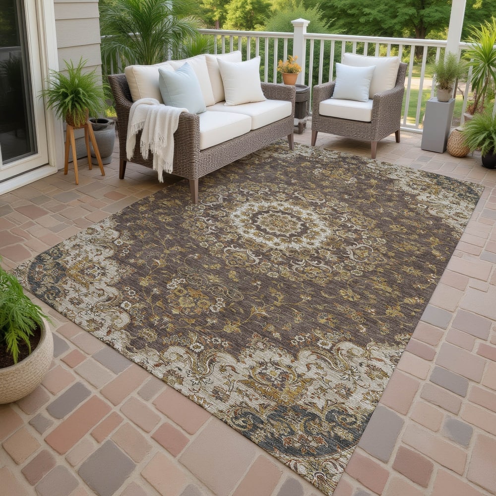 Machine Washable Indoor/ Outdoor Vintage Thane Chantille Rug