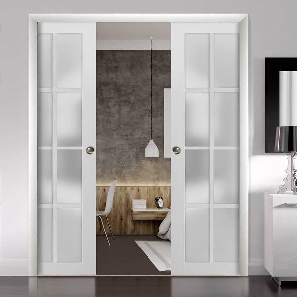 Frosted glass online pocket door
