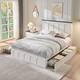 Option Antique White