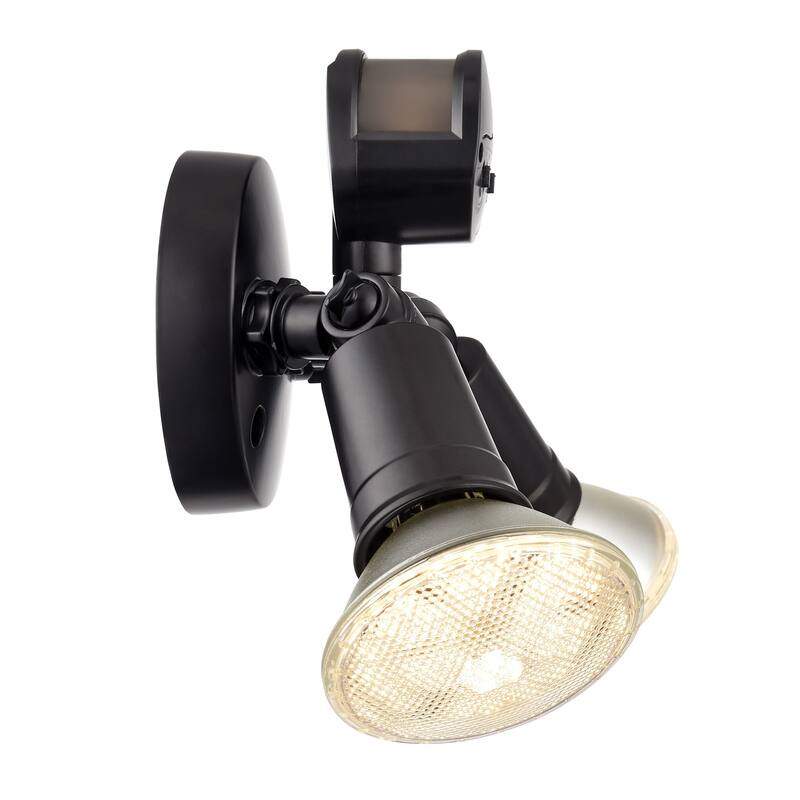 Millennium Lighting M-16002 Double Light 11-1/4" Wide Outdoor Flood