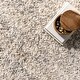 preview thumbnail 7 of 40, Brooklyn Rug Co Thelma Modern Shag Tassel Area Rug