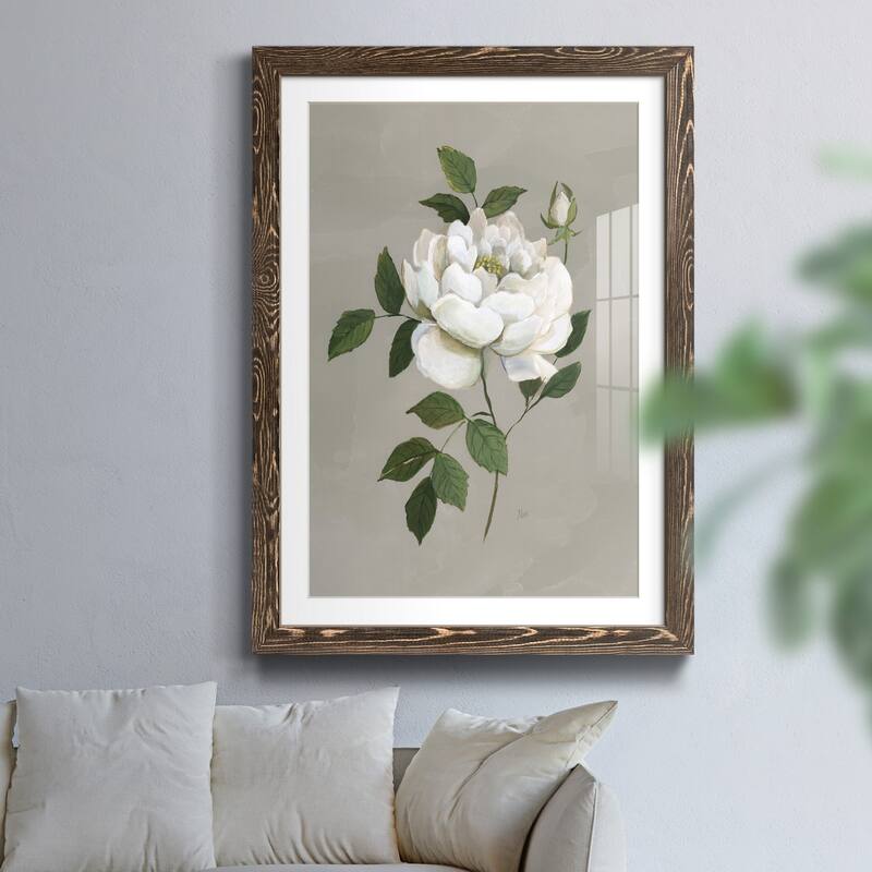 Botanical Rose-Premium Framed Print - Ready to Hang