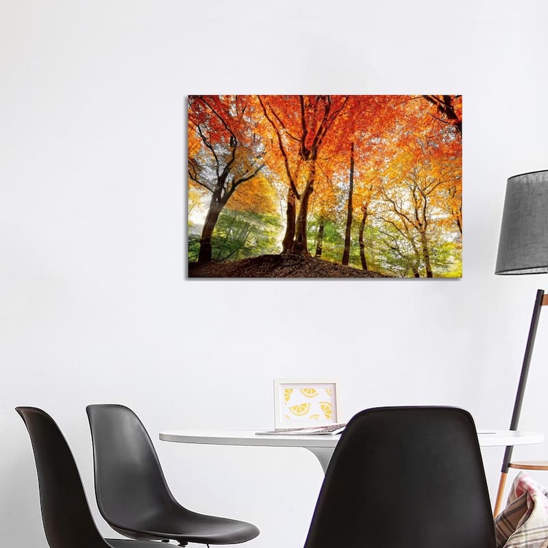 iCanvas "Prism Of Light" by Lars van de Goor Canvas Print - 26x40x1.5
