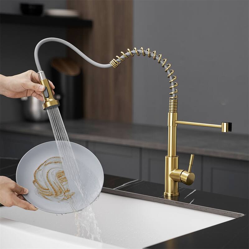 Stainless Steel Kitchen Faucet with Pull-Down Sprayer, Single Handle
