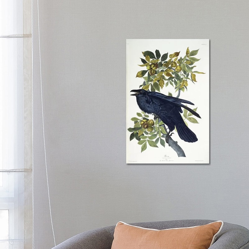 iCanvas "Raven," by John James Audubon Canvas Print - 26x18x1.5