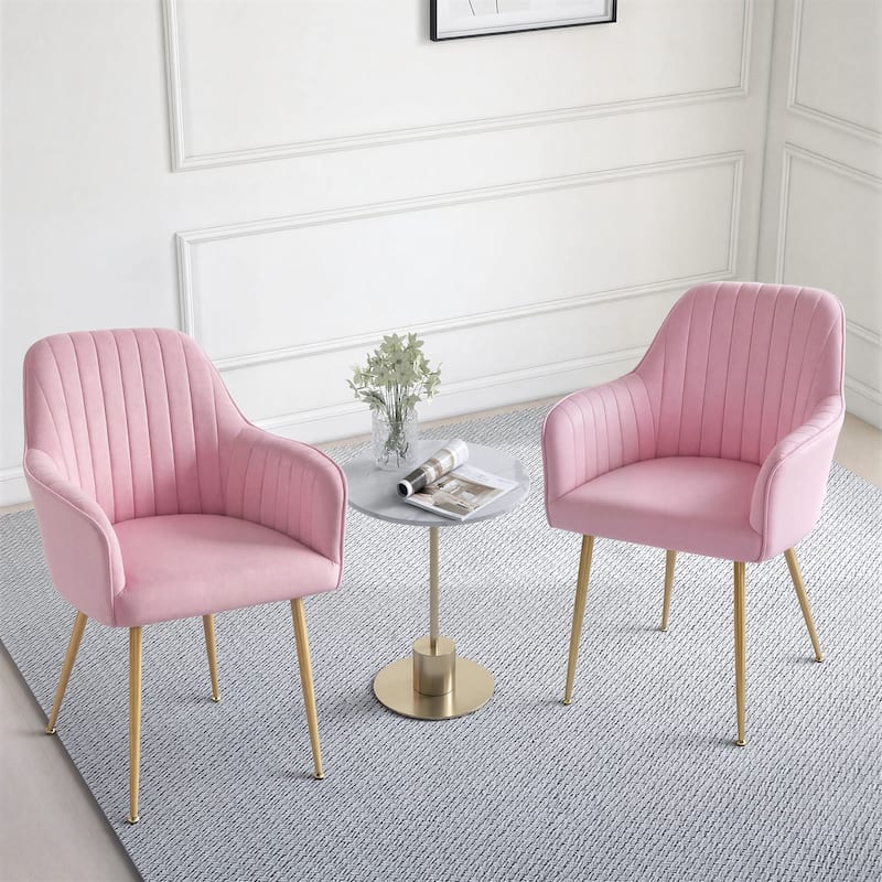 Velvet Accent Dining Chairs with Gold Metal Legs Set of 2