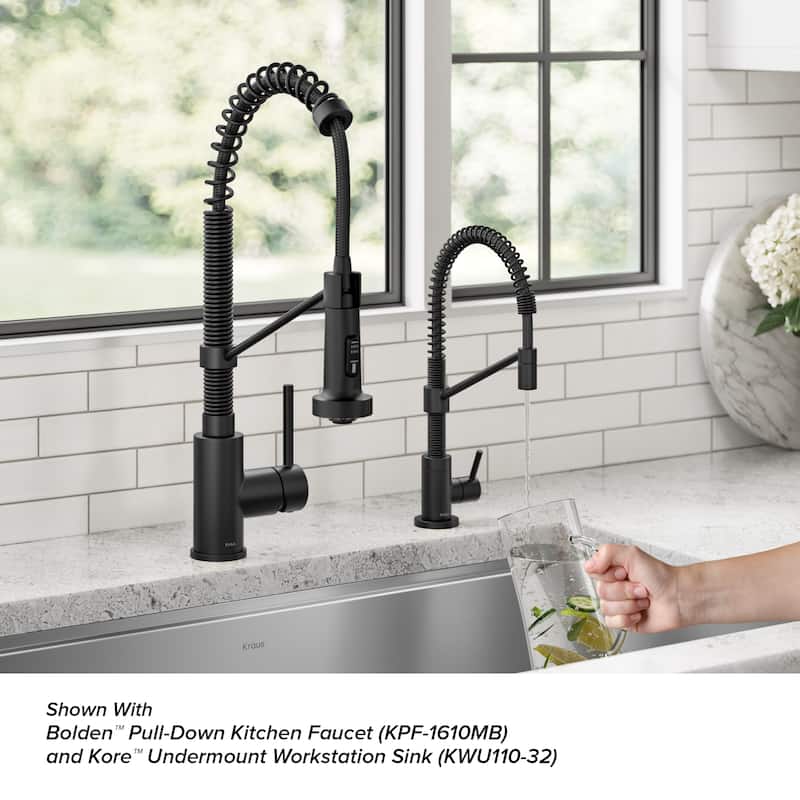Kraus Bolden 1-Handle Drinking Water Dispenser Beverage Kitchen Faucet