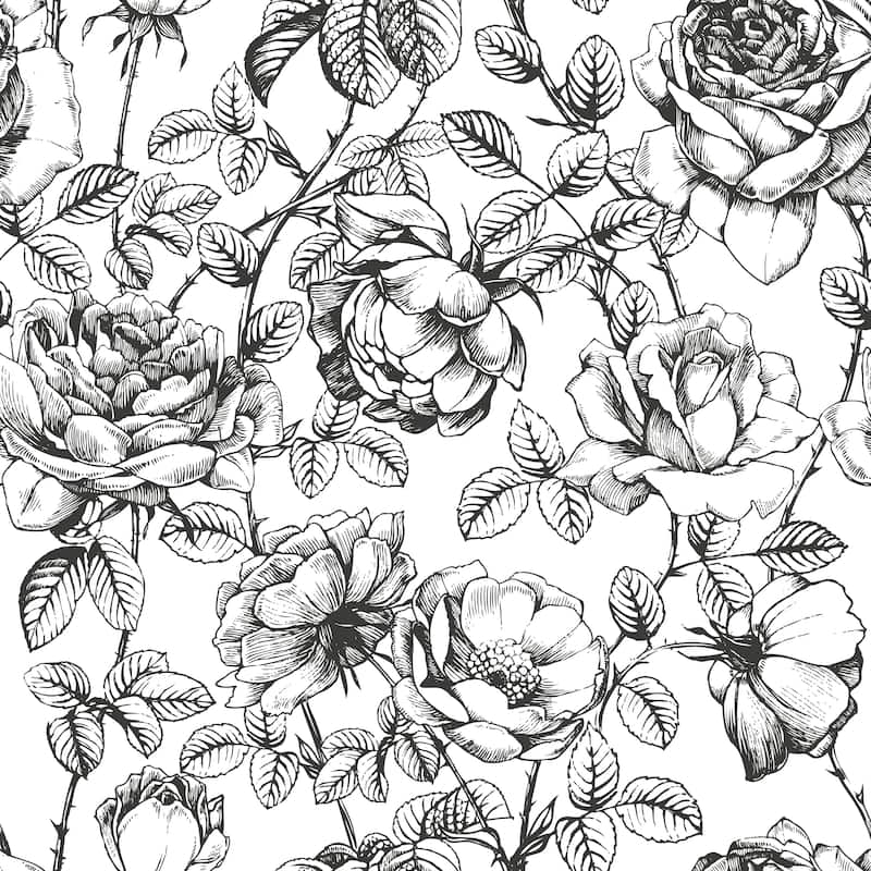 Hand Drawn Gardenia Flowers Removable Wallpaper - 10'ft H x 24''inch W - 10'ft H x 24''inch W - Black
