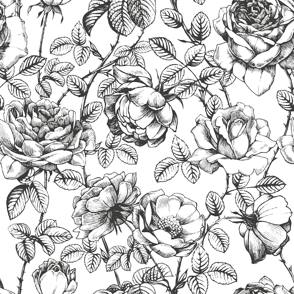 Hand Drawn Gardenia Flowers Removable Wallpaper - 10'ft H x 24''inch W