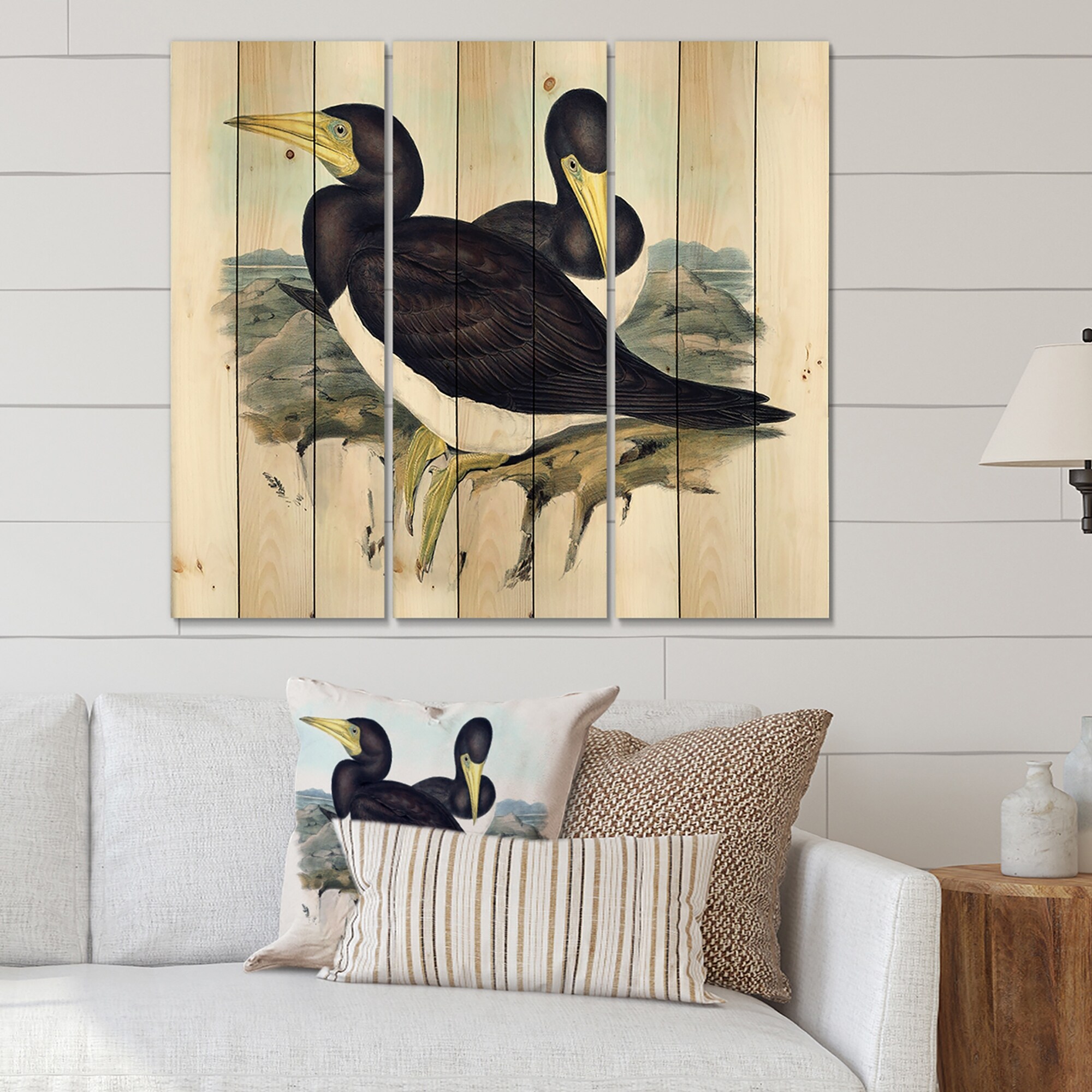Designart 'Vintage Australian Birds XII' Traditional Print-image