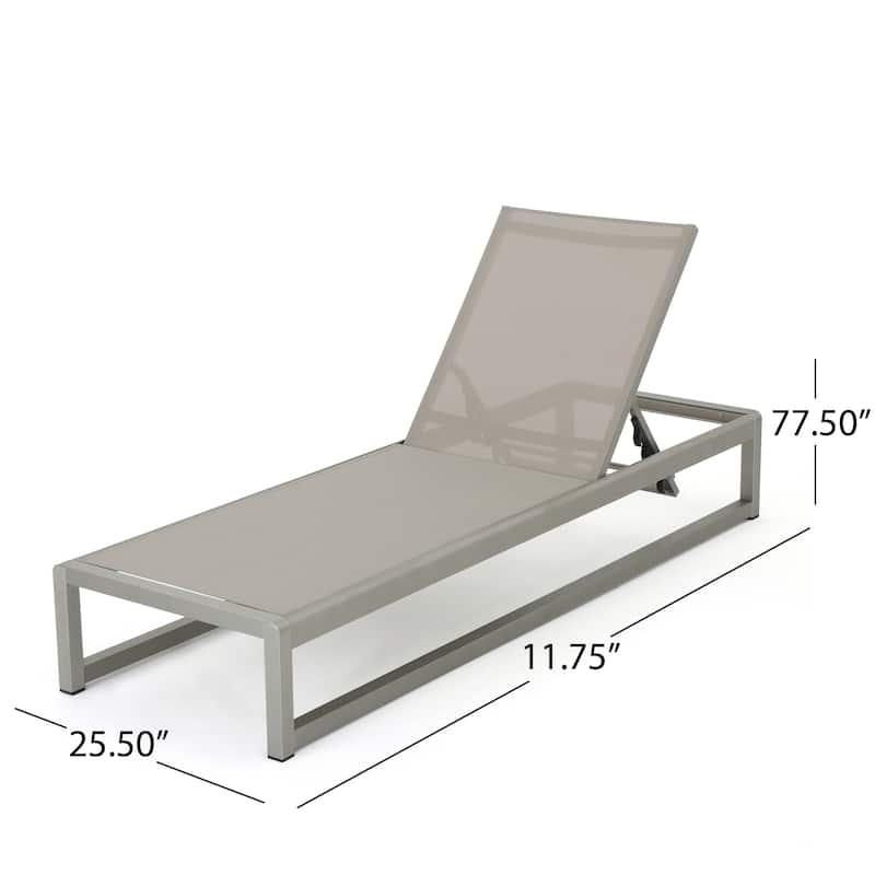 Roomfitters Outdoor Chaise Lounge Chair Set of 2, with Adjustable Recline, Modern Poolside Lounger, Beige