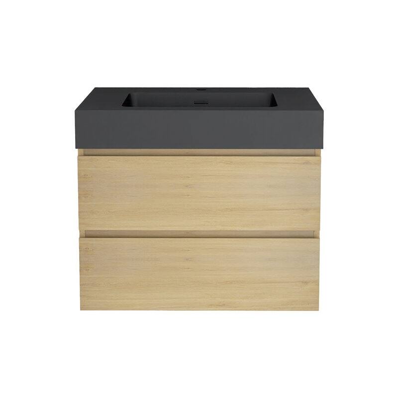 24 in. W x 18 in. D x 25 in. H Single Sink Wall Mounted Bath Vanity for Modern Bathroom Black Sink Basin