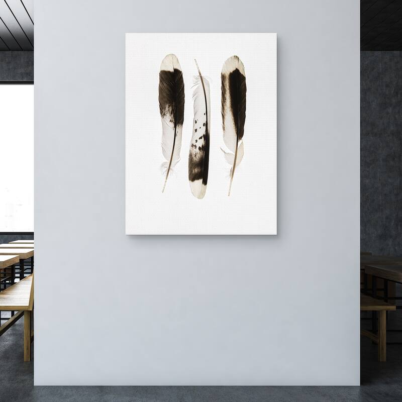 Three Feathers by Nancy Crowell Canvas Art Print
