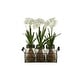 preview thumbnail 1 of 3, HomeStock Paper Whites in Glass Jars in Metal Holder - Vintage Faux Floral Set for Charming Décor - 14