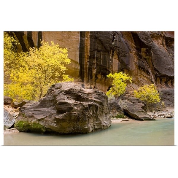 "Trees displaying fall foliage in the Zion Canyon Narrows, Utah" Poster Print