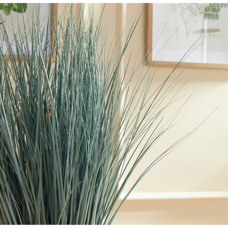 Blue Oat Grass Drop-In 32" - Green