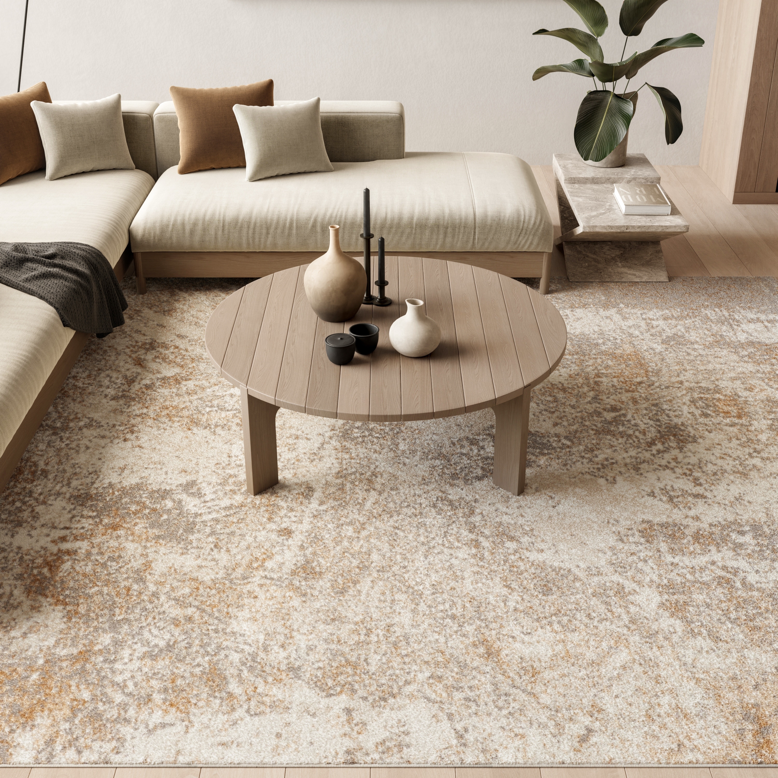 Nourison Ambiance Indoor only Contemporary Abstract Area Rug