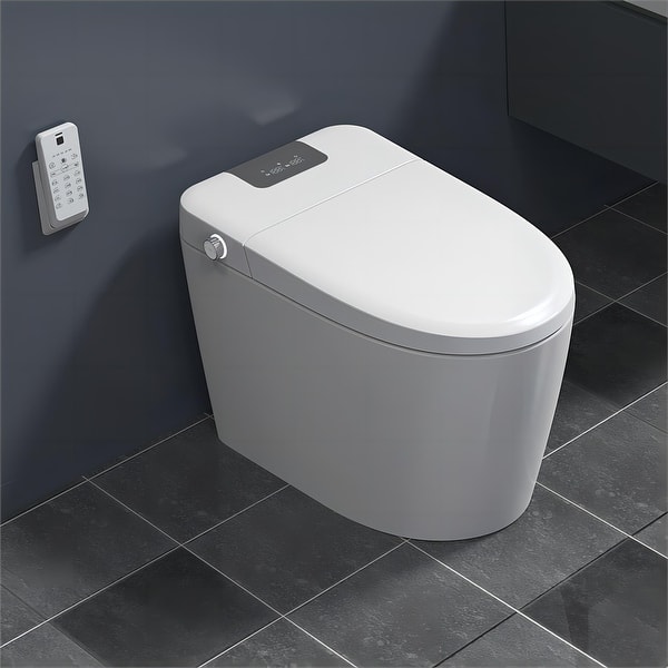 One Piece 4Way Flush Lighted Smart Toilet and Bidet Toilets with