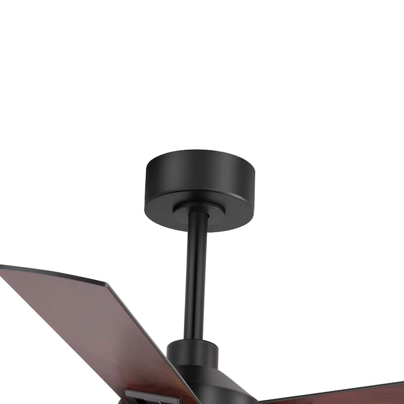 52" Reversible 5-Blade Farmhouse Glam Floral Glass Caged Ceiling Fan with Light and Remote