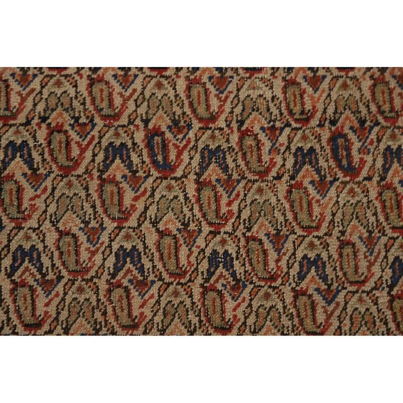 Pre-1900 Antique Afshar Persian Area Rug Vegetable Dye Wool Carpet - 4'0"x 6'1"