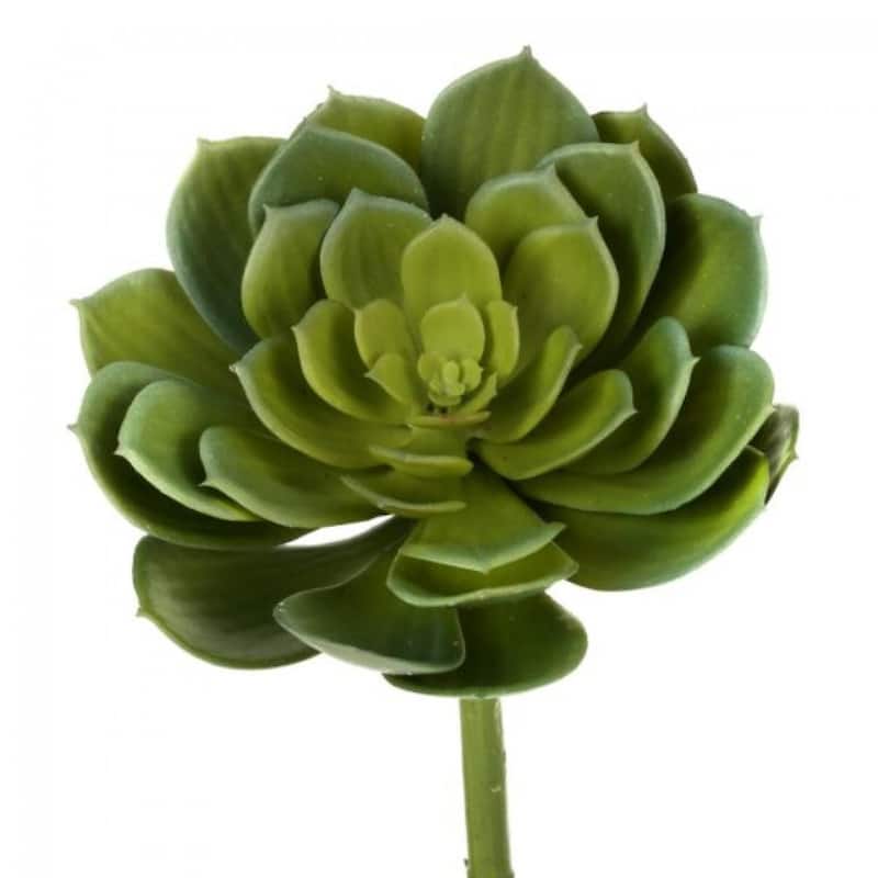 Echeveria Stem Faux Plants And Trees