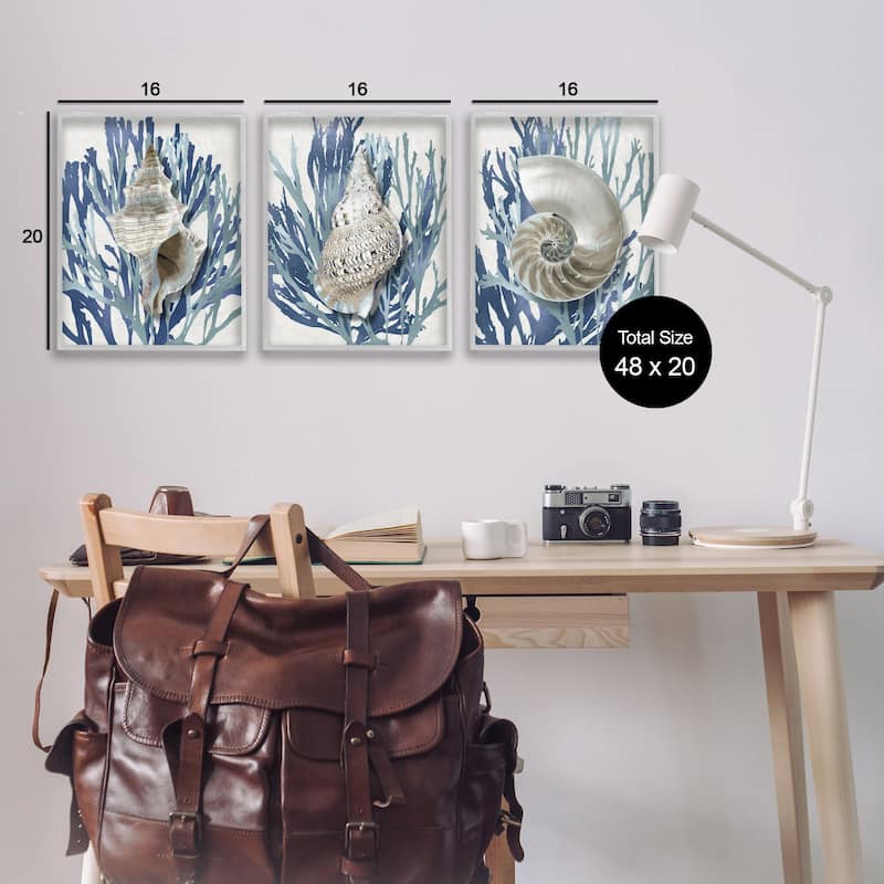 Stupell Trio of Shell Coral Blue Beach Design, 3pc Multi Piece Framed Wall Art Set