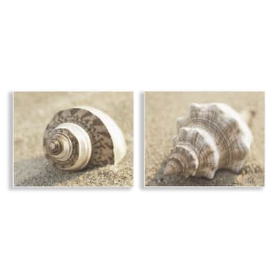 Stupell Neutral Tone Sea Life Wall Plaque Art Design By Dora Rotondella (Set of 2)
