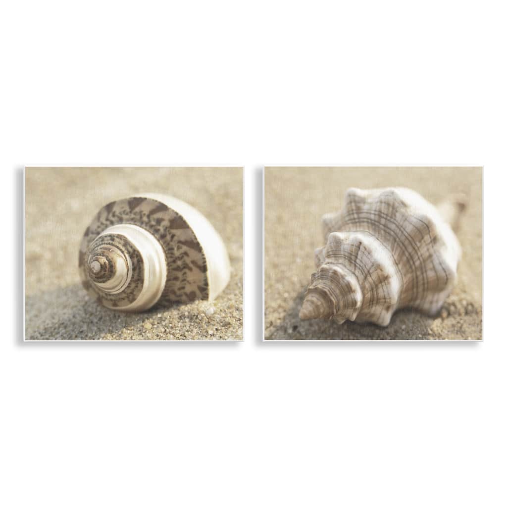 Stupell Neutral Tone Sea Life Wall Plaque Art Design By Dora Rotondella (Set of 2)