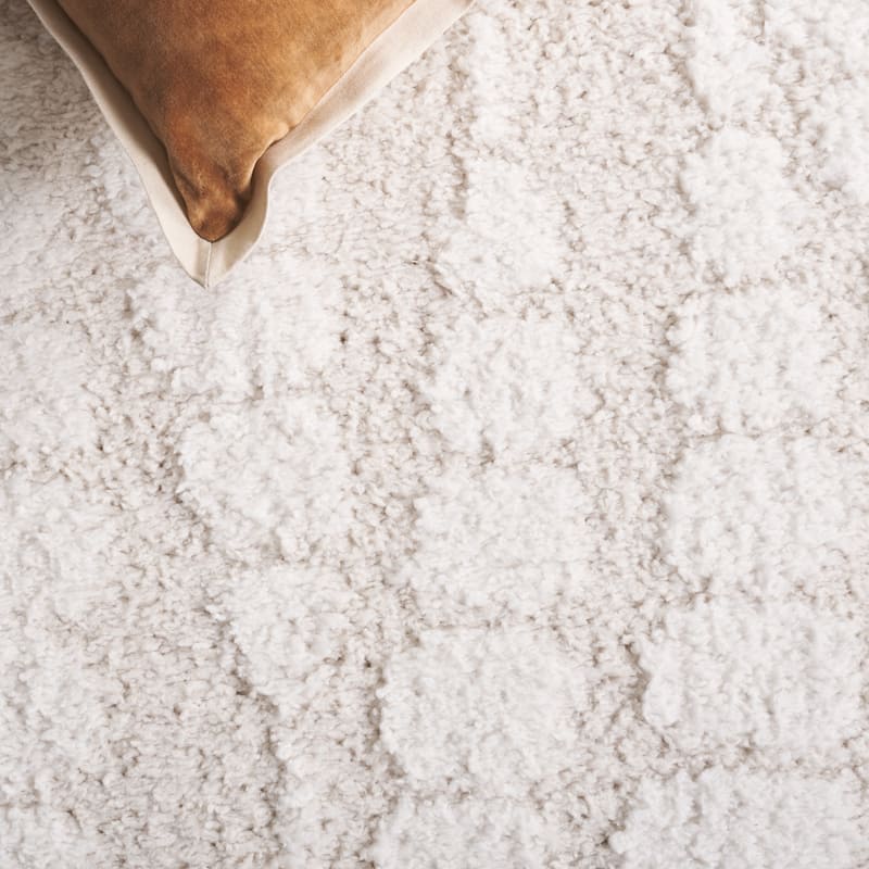 SAFAVIEH Rumi Shag Pinkey Shag Rug