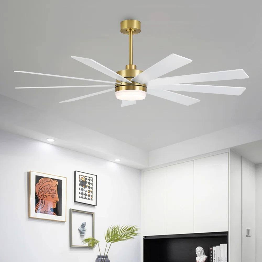 MLiAN DC Motor Indoor Ceiling Fan with Light and Remote