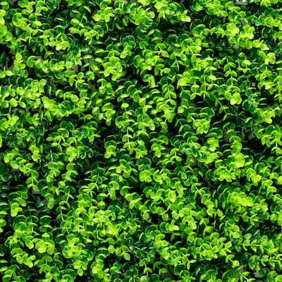 Gymax 12PCS 16x24inch Artificial Eucalyptus Hedge Plant Privacy Fence