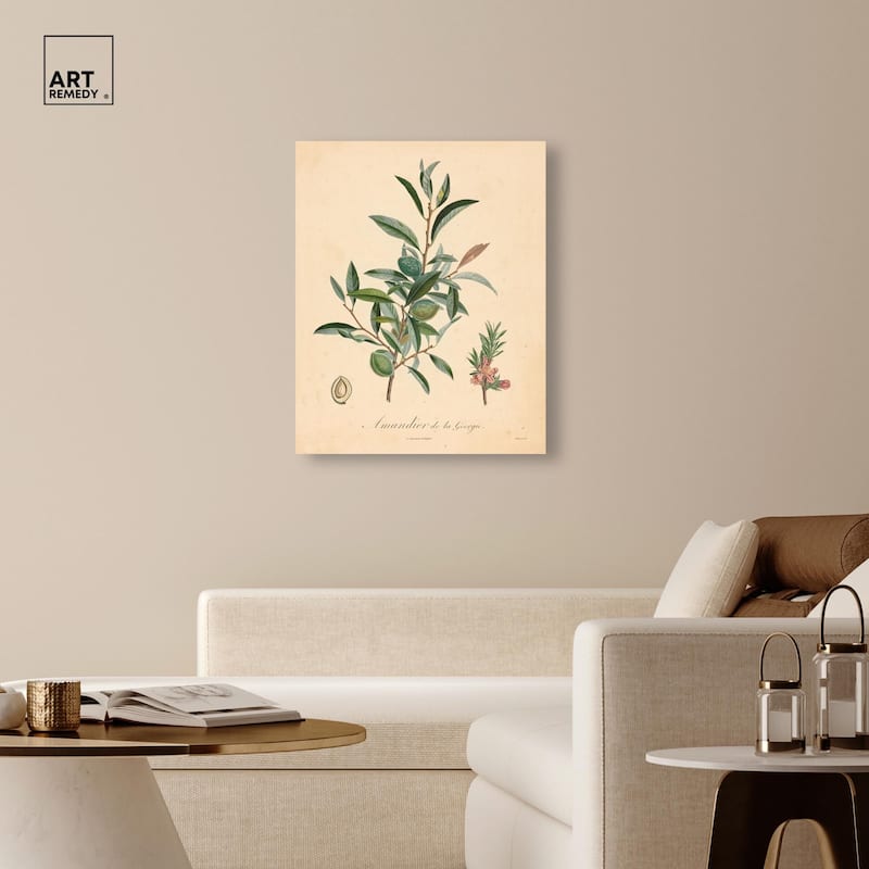 Almond of Georgia I Canvas by Art Remedy, Gallery Wrapped