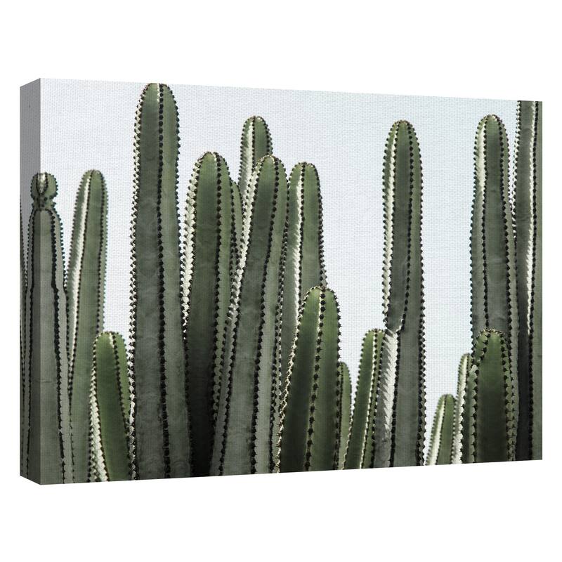 Desert Detail by Belle Maison Canvas Art Print