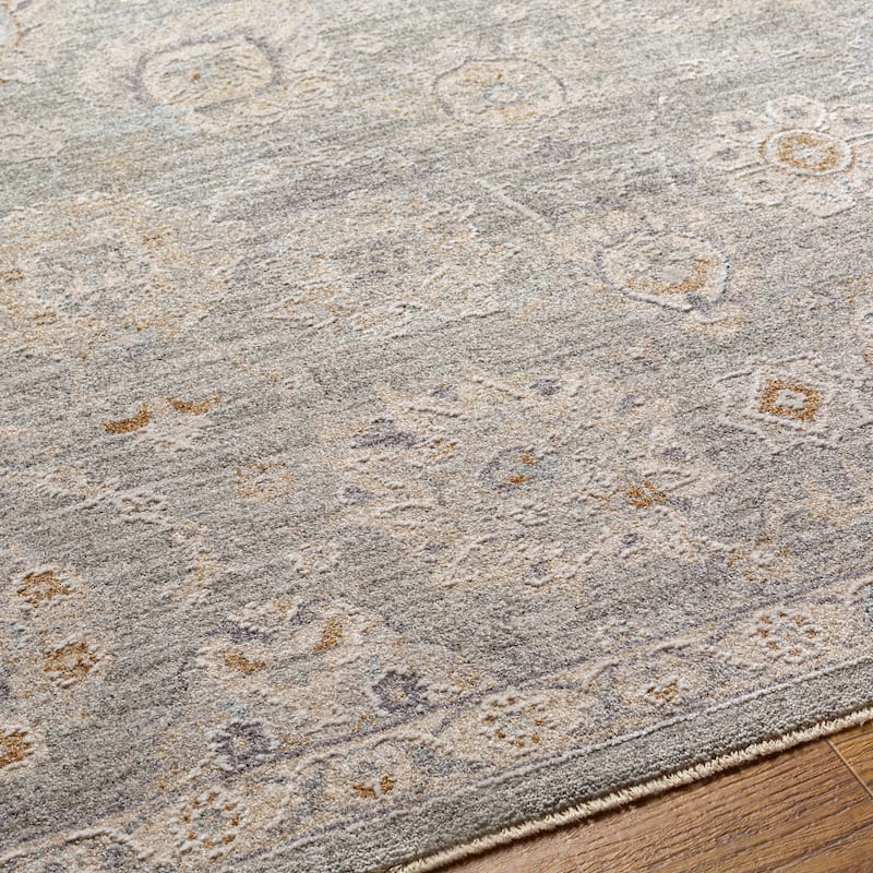 Artistic Weavers Pashe Vintage Distressed Area Rug