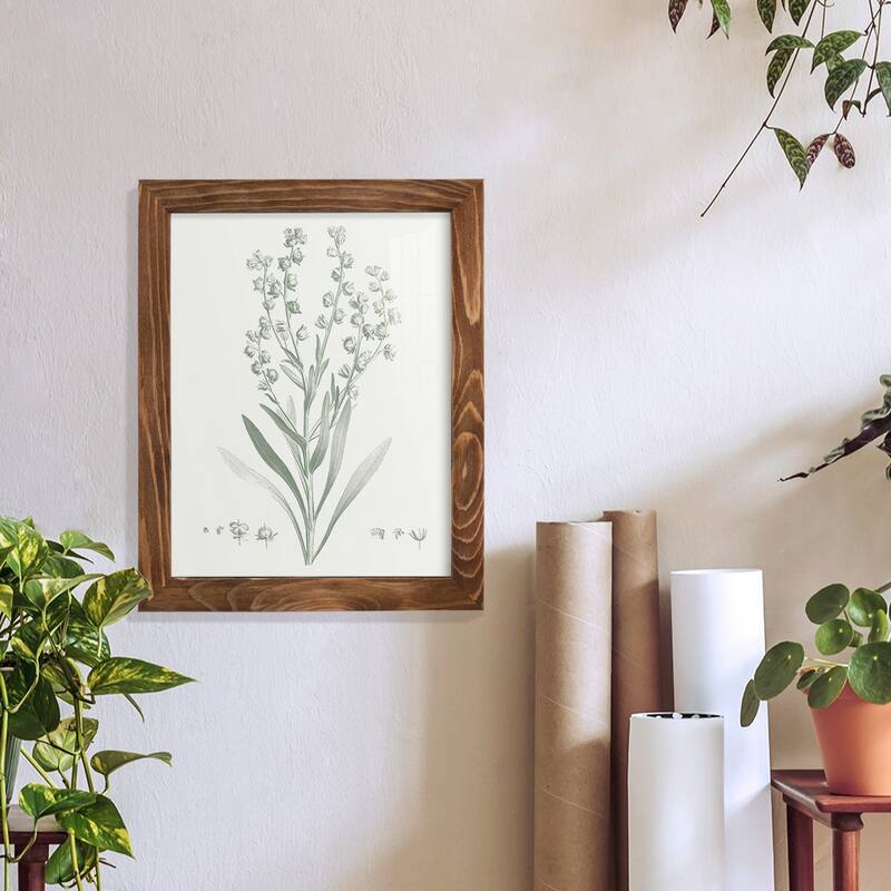 Botanical Study in Sage I -Framed Print w/glass-Cherry Red