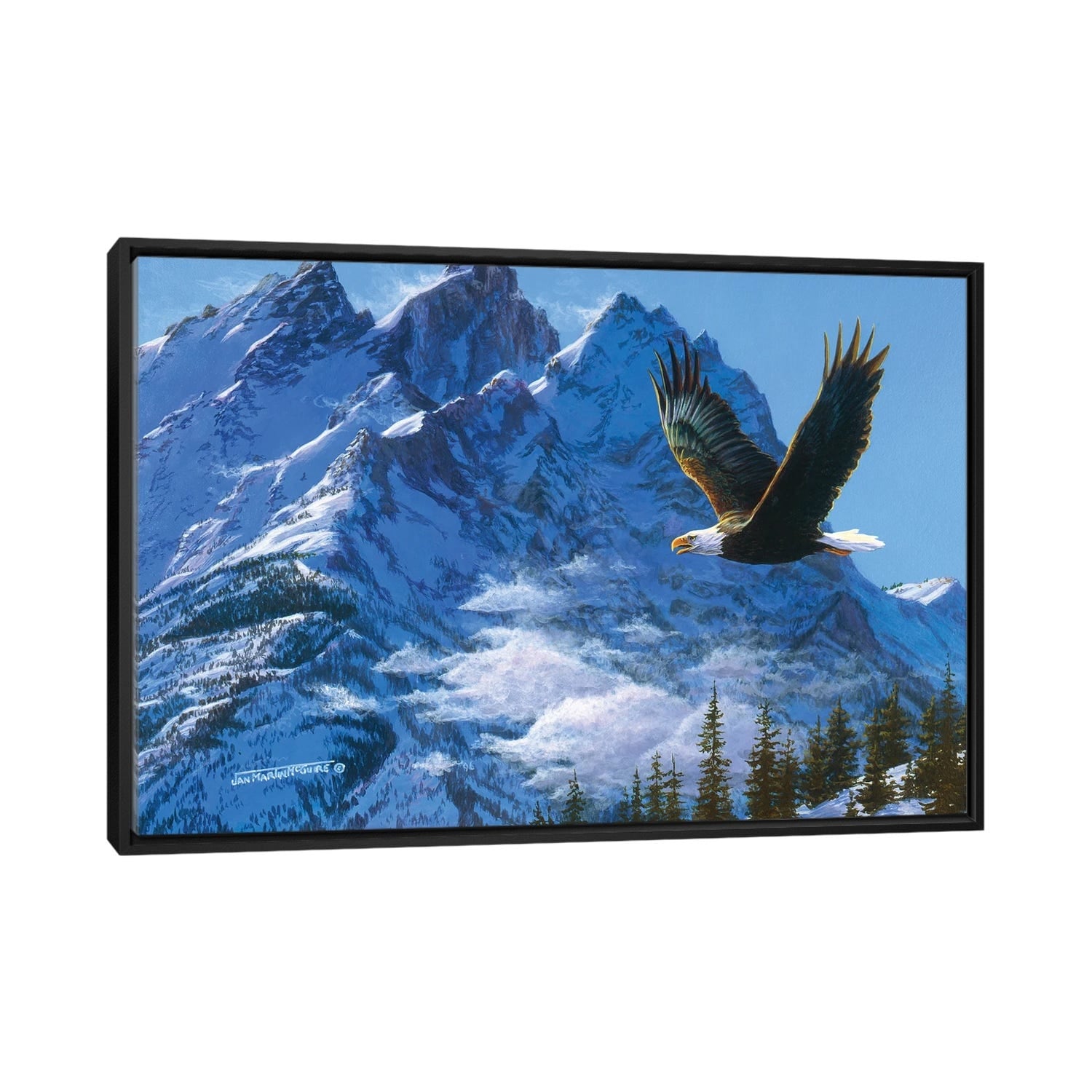 iCanvas "Eagle Mountains IV" by Jan Martin Mcguire Framed Canvas Print