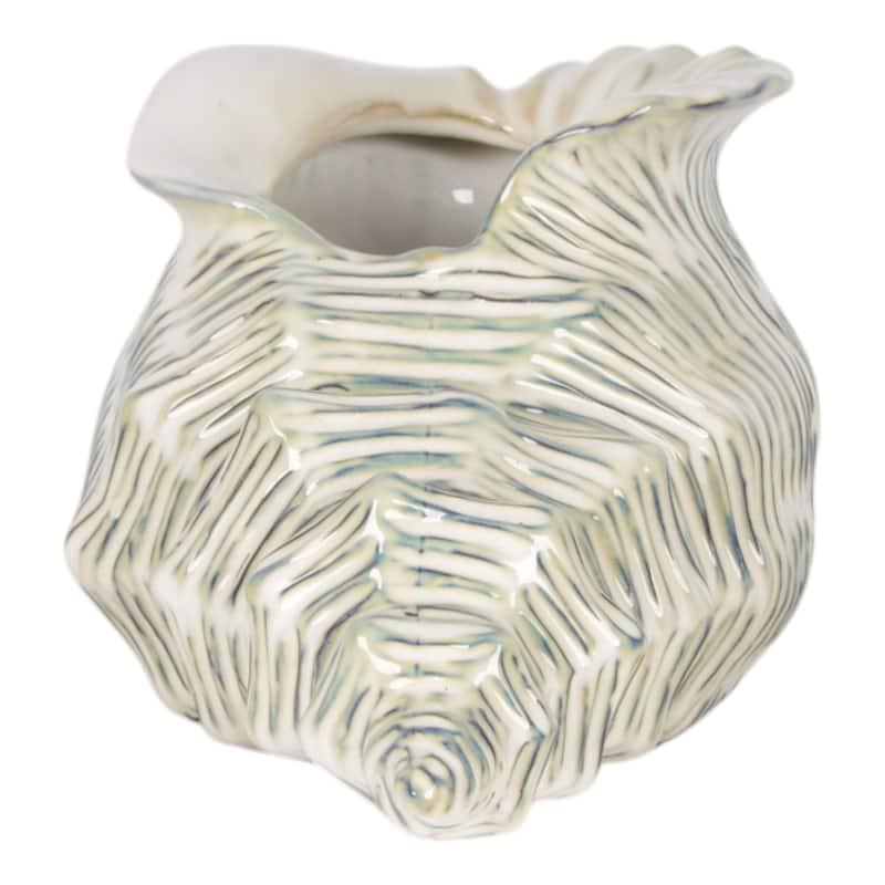 Ceramic Shell Shaped Sculpted Decorative Bowl with Textured Detail
