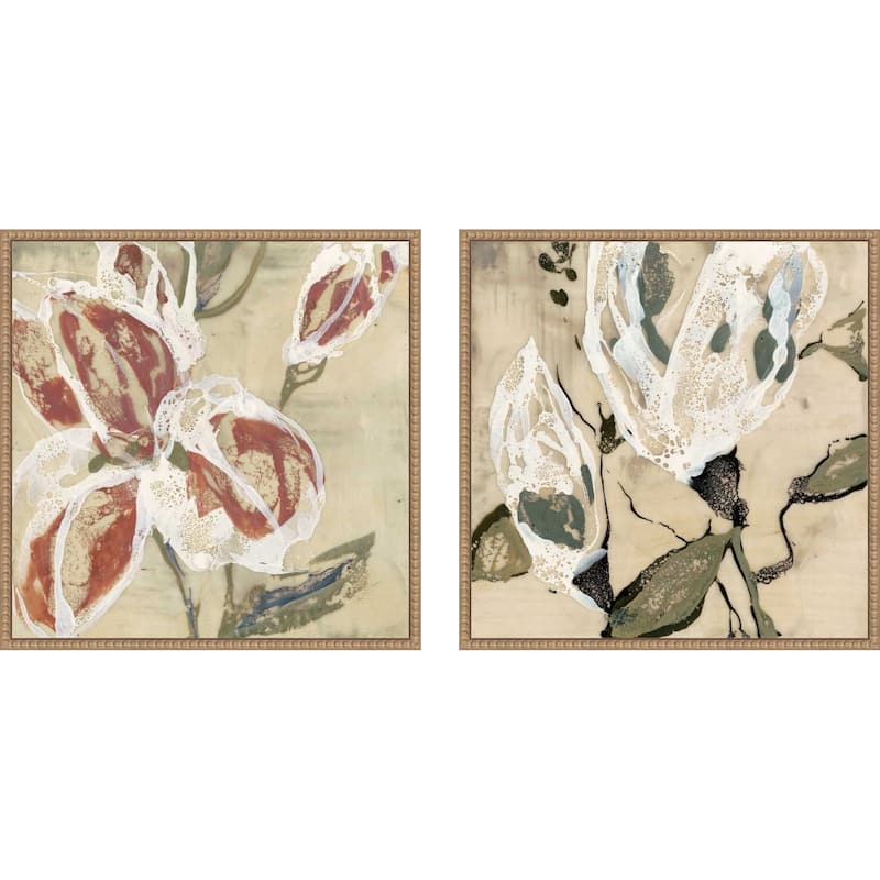 Amanti Art Lily Breath & Flower Pods 2 Piece by Jennifer Goldberger Framed Canvas Wall Art